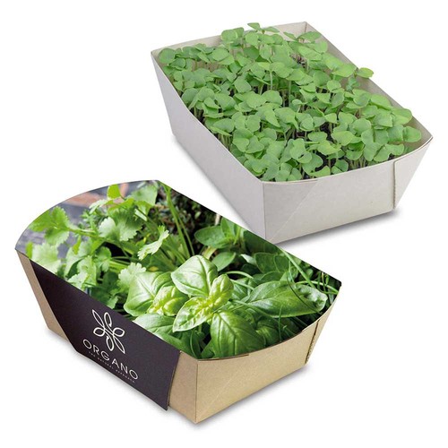 Plant-bowl with seeds - Herb-mixture