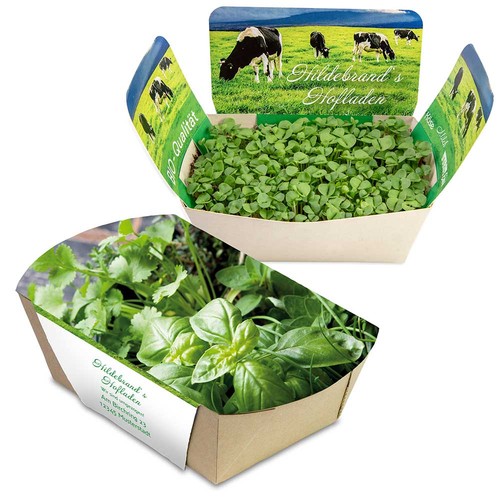 Plantodrom with seeds - Herb-mixture