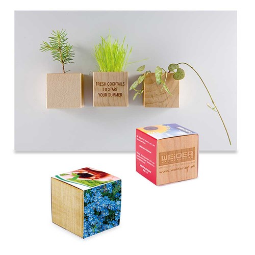 Plant-wood magnet with seeds - Forget-me-not