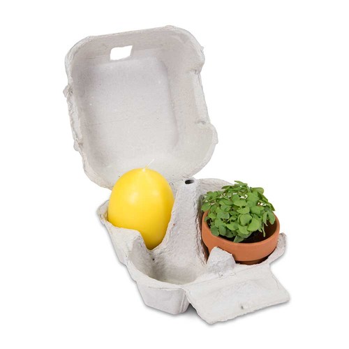 Boxed pleasure - with plant-pot and egg-candle