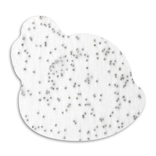 Seed-paper funny animals - snail Paul Seed-paper funny animals - snail Paul