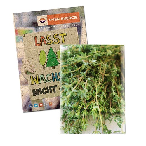 Seed-bag mini - Grass paper - Thyme