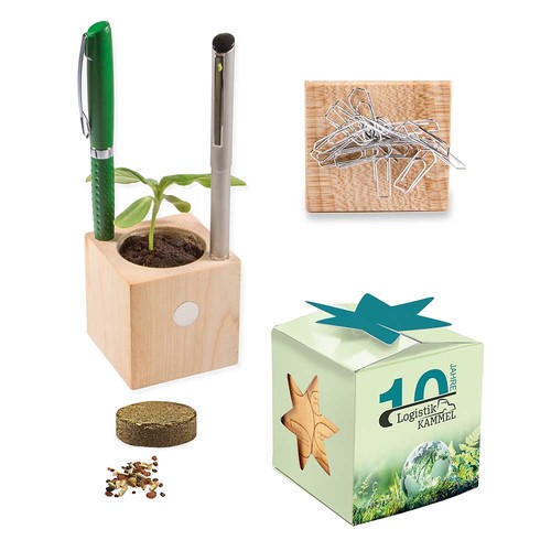 Plant-wood office star-box with seeds - Thyme Plant-wood office star-box with seeds - Thyme