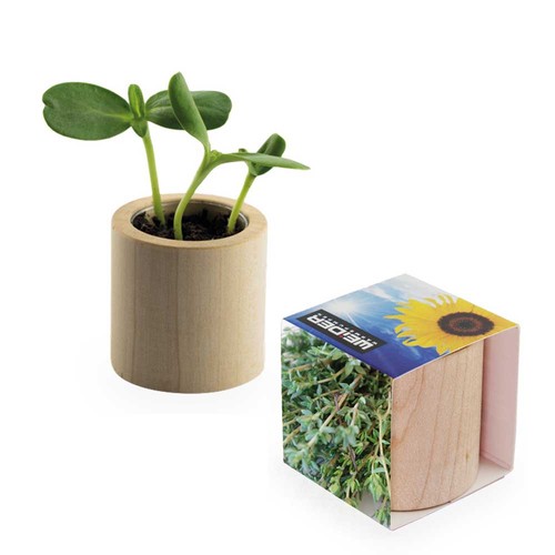 Plant-wood round with seeds - Thyme