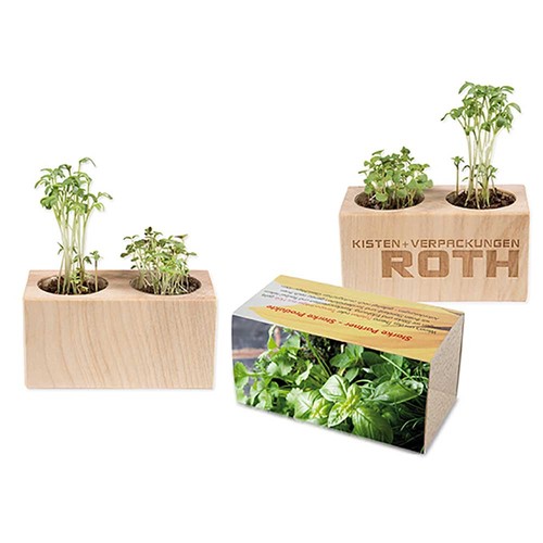 Plant-wood set of 2 with seeds - Herb-mixture