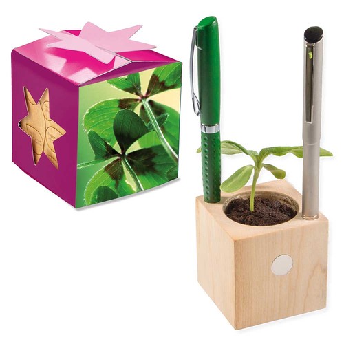 Plant-wood office star-box with seeds - Four-leaf clover