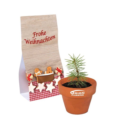 Mini logo-pot handover packaging with seeds - Spruce