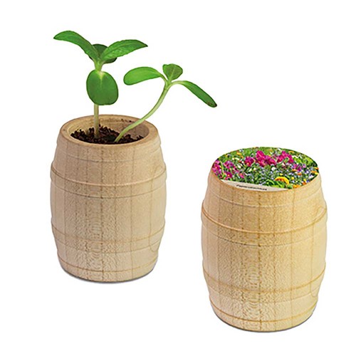 Plant-barrel with seeds - Summerflowers mix
