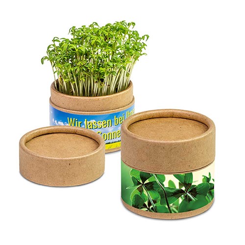 Plant-cup with seeds - Christmas - Four-leaf clover