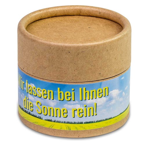 Plant-cup with seeds - Christmas - Four-leaf clover Plant-cup with seeds - Christmas - Four-leaf clover