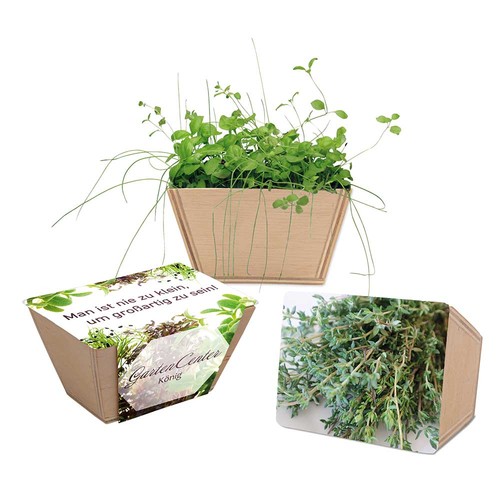 Mini-bed with seeds - Thyme