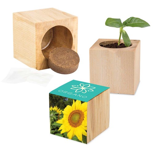 Plant-wood Maxi with seeds - Sunflowers