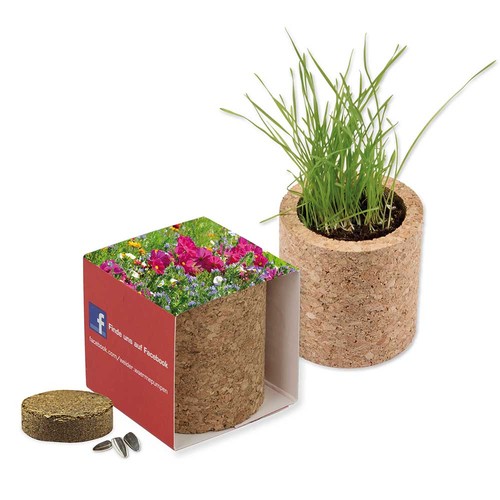 Plant-cork round with seeds - Summerflowers mix