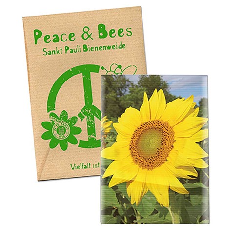 Seed-bag small - Natron kraft paper - Sunflowers