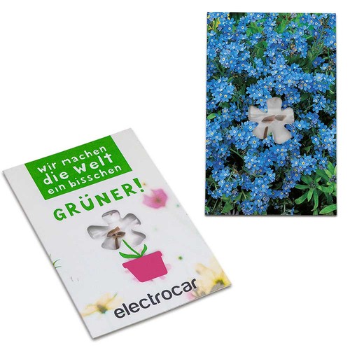 Seed-card-mini flower - Forget-me-not