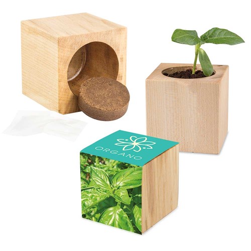 Plant-wood Maxi with seeds - Basil