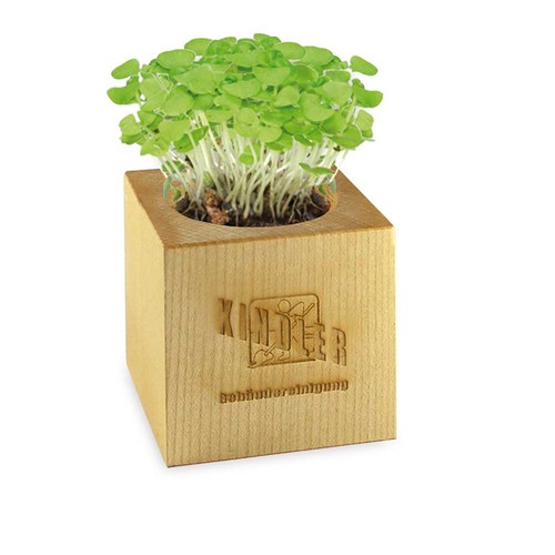 Plant-wood Maxi with seeds - Basil Plant-wood Maxi with seeds - Basil