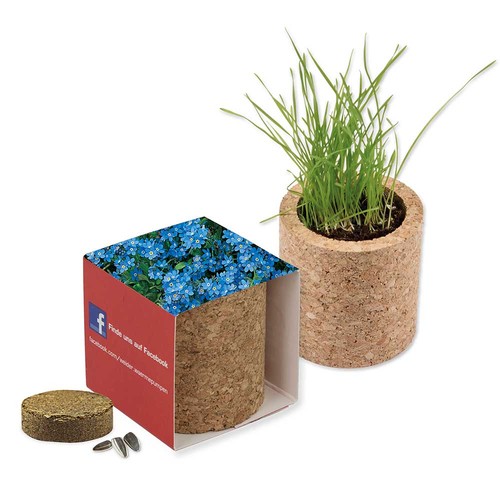 Plant-cork round with seeds - Forget-me-not
