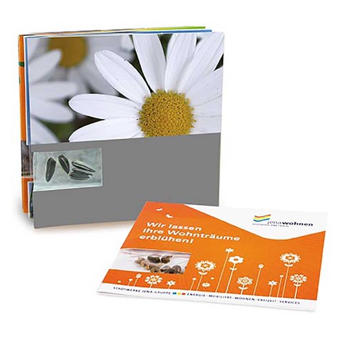 Seed-card - Marguerite