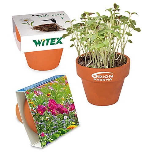 Mini logo-pot paper band with seeds - Summerflowers mix