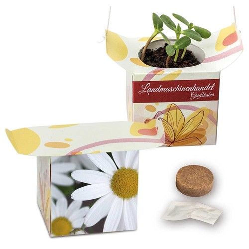 Hanging pot - Marguerite