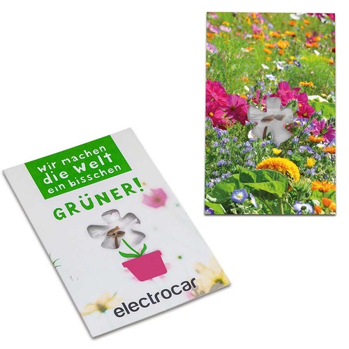 Seed-card-mini flower - Summerflowers mix