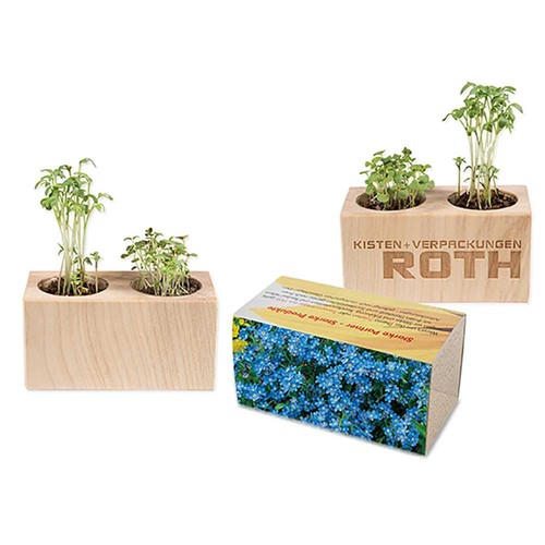 Plant-wood set of 2 with seeds - Forget-me-not