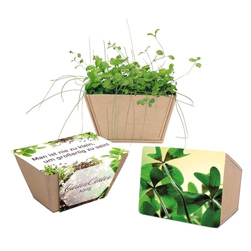 Mini-bed with seeds - Four-leaf clover