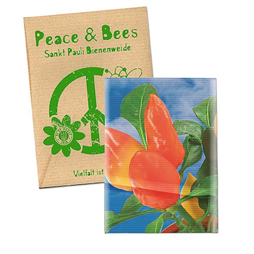 Seed-bag small - Natron kraft paper - Chilli