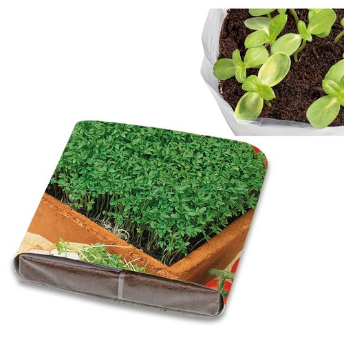 Pop-up potting soil with seeds - Cress