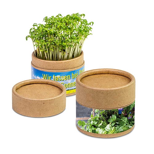 Plant-cup with seeds - Herb-mixture