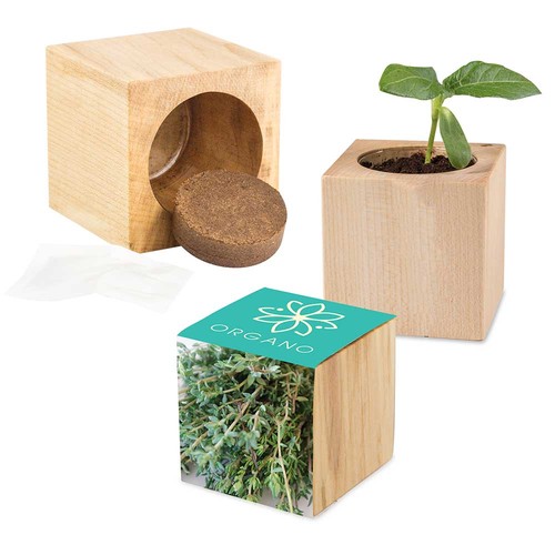Plant-wood Maxi with seeds - Thyme