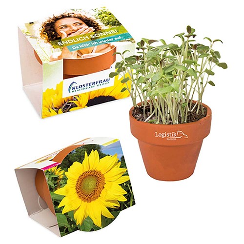 Mini logo-pot complete paper band with seeds - Sunflowers