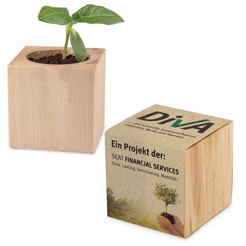 Plant-wood with seeds (paper band from grass paper) - Cress Plant-wood with seeds (paper band from grass paper) - Cress