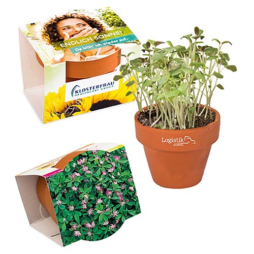 Mini logo-pot complete paper band with seeds - Persian clover (seeds)