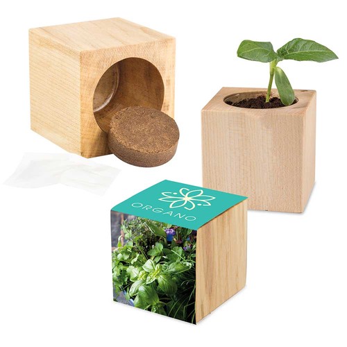 Plant-wood Maxi with seeds - Herb-mixture