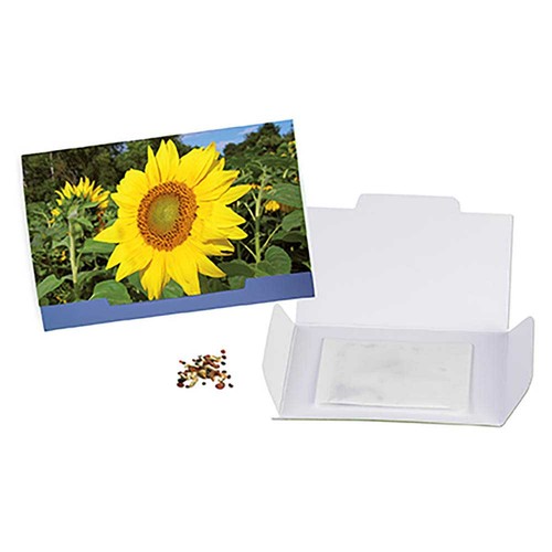 Flower-card with seeds - Sunflowers