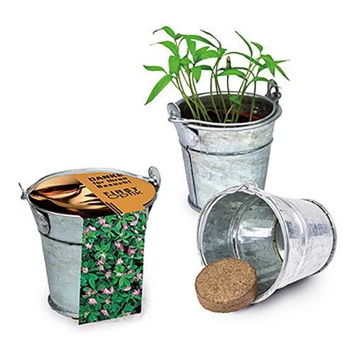 Mini plant-bucket with seeds - Persian clover (seeds)