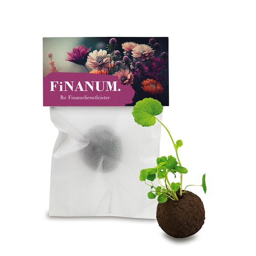 Flower-Balls in a glassine bag - 1 piece