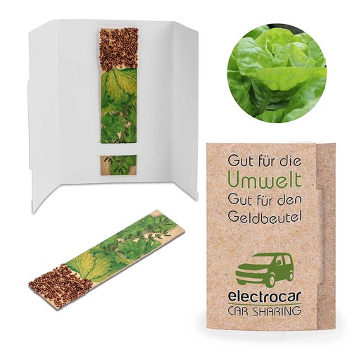 Herb-stick with seeds - cut lettuce