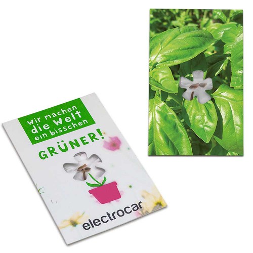 Seed-card-mini flower - Basil