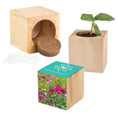 Plant-wood Maxi with seeds - Summerflowers mix