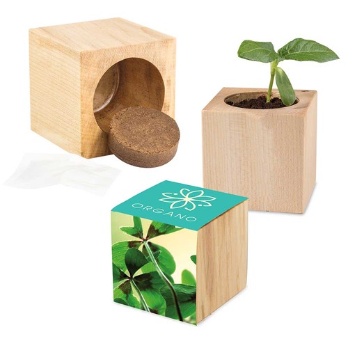 Plant-wood Maxi with seeds - Four-leaf clover