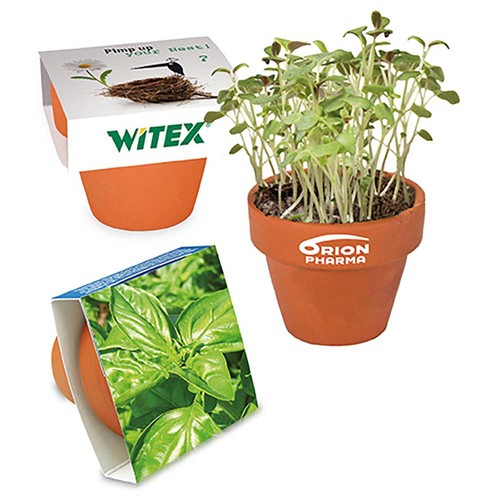 Mini logo-pot paper band with seeds - Basil
