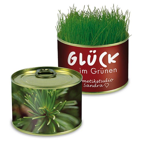 Nature-reserve with seeds - Spruce