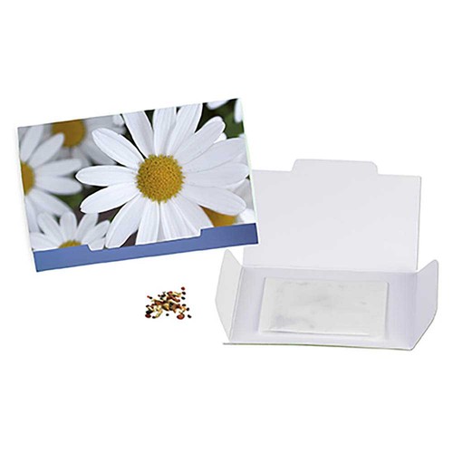 Flower-card with seeds - Marguerite