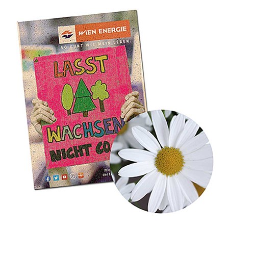 Seed-bag small - Grass paper - Marguerite