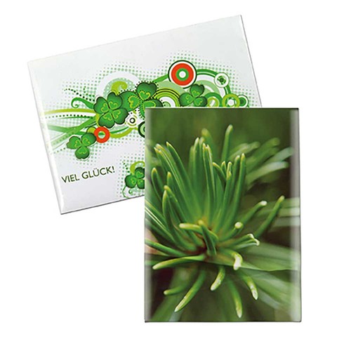 Seed-bag mini - Standard paper - Spruce