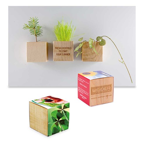 Plant-wood magnet with seeds - Four-leaf clover