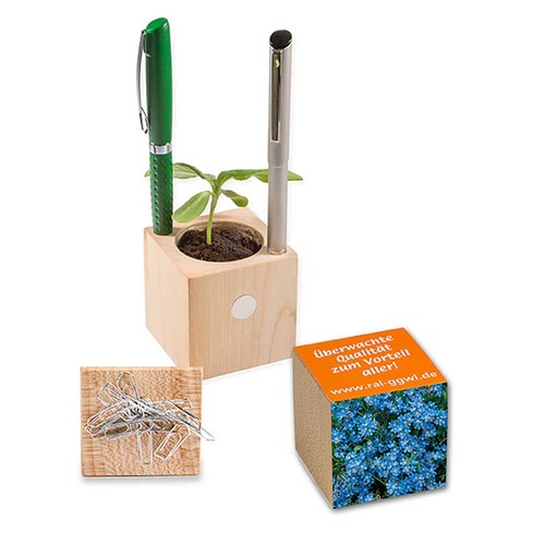 Plant-wood office with seeds - Forget-me-not